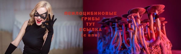 мдма Богородицк