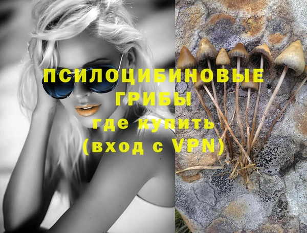COCAINE Бородино