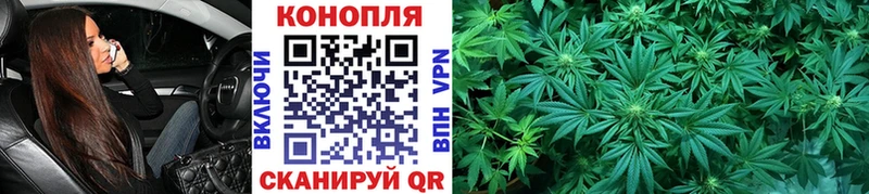 Канабис VHQ mega ТОР Мышкин купить наркотики сайты